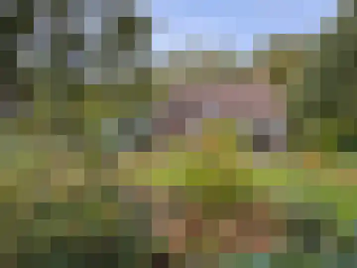 't Haantje 61 't Haantje thumbnail 13