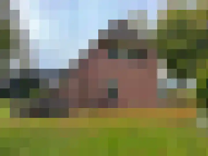 't Haantje 61 't Haantje thumbnail 14