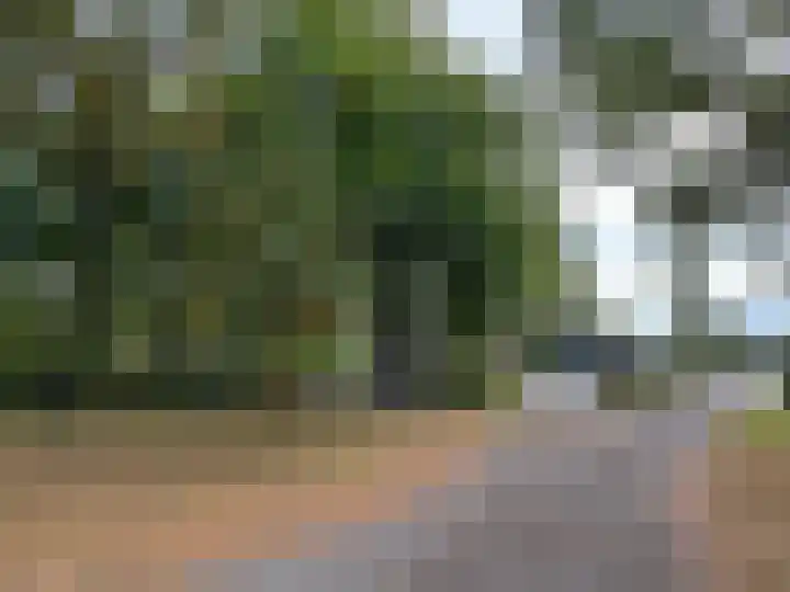't Haantje 61 't Haantje thumbnail 16
