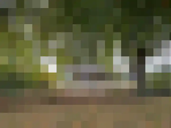 't Haantje 61 't Haantje thumbnail 17
