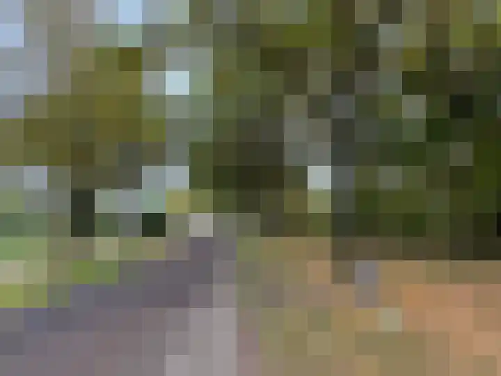 't Haantje 61 't Haantje thumbnail 18
