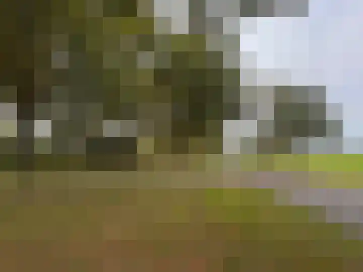 't Haantje 61 't Haantje thumbnail 19