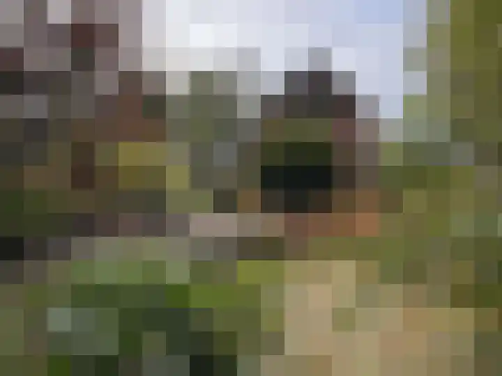 't Haantje 61 't Haantje foto 2