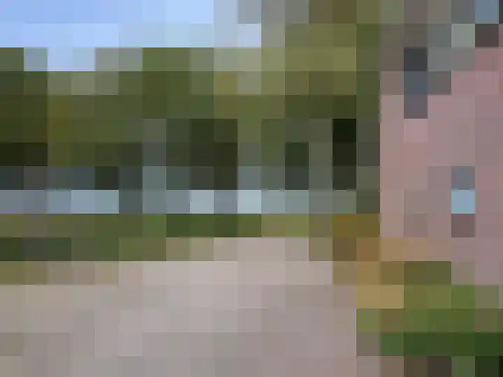 't Haantje 61 't Haantje thumbnail 22