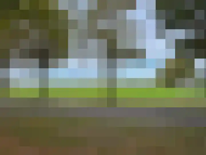 't Haantje 61 't Haantje thumbnail 23