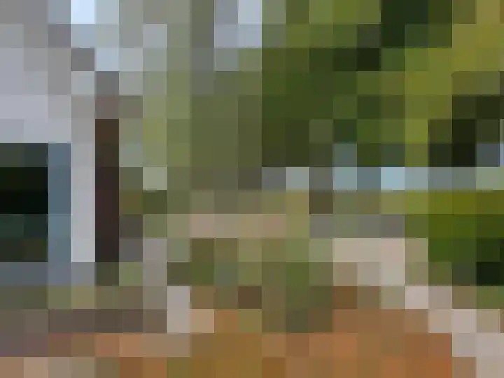 't Haantje 61 't Haantje thumbnail 24