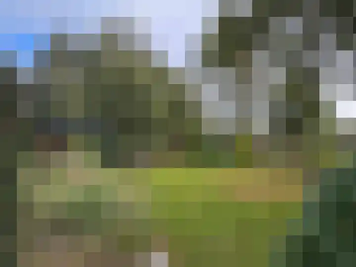 't Haantje 61 't Haantje thumbnail 25