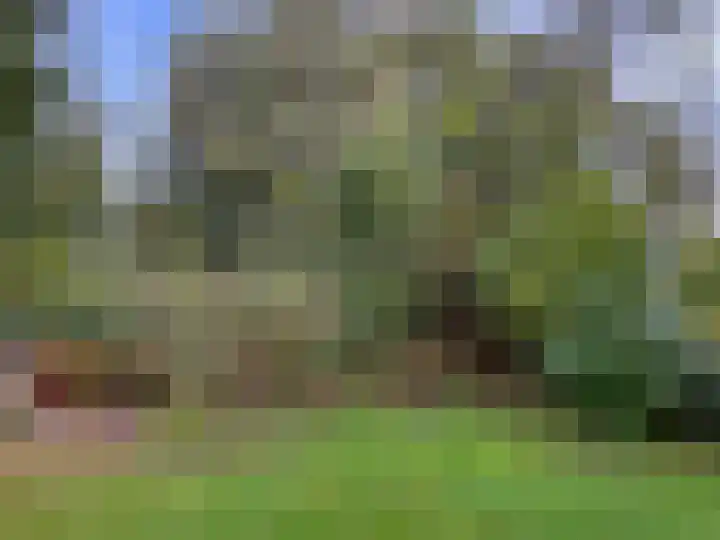 't Haantje 61 't Haantje thumbnail 26