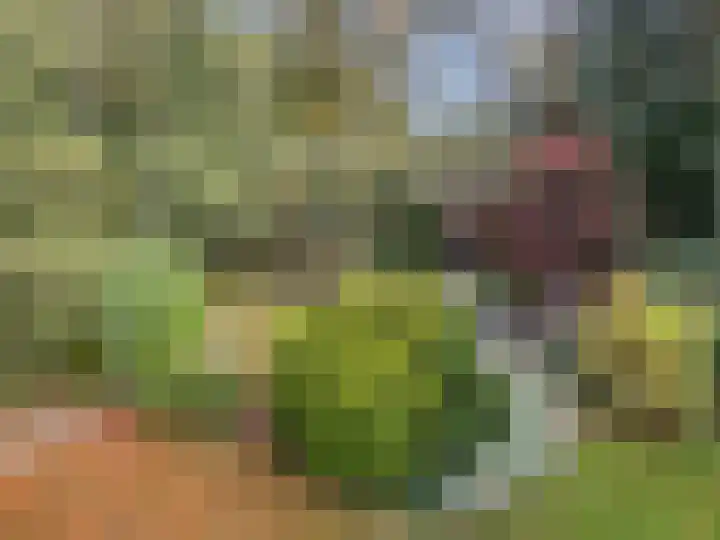 't Haantje 61 't Haantje thumbnail 27