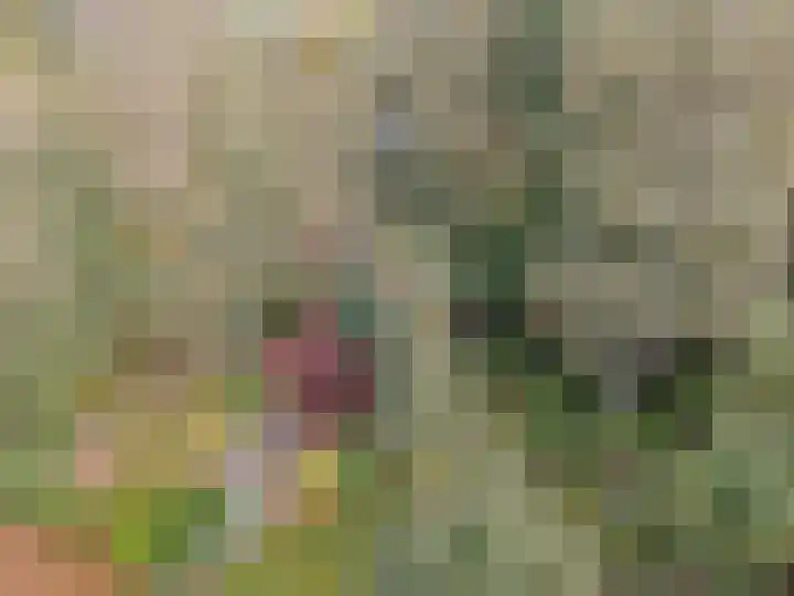 't Haantje 61 't Haantje thumbnail 28