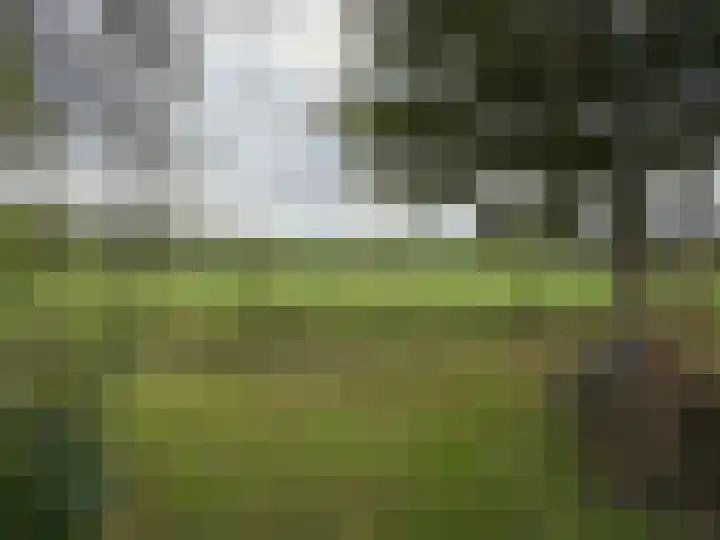 't Haantje 61 't Haantje thumbnail 30