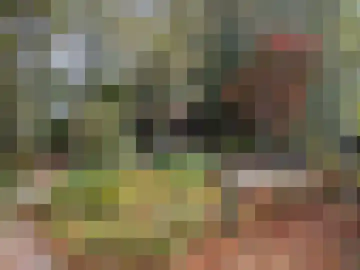 't Haantje 61 't Haantje thumbnail 32