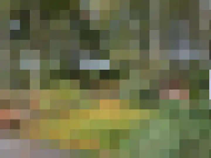 't Haantje 61 't Haantje thumbnail 33