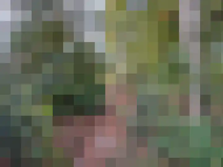 't Haantje 61 't Haantje thumbnail 34
