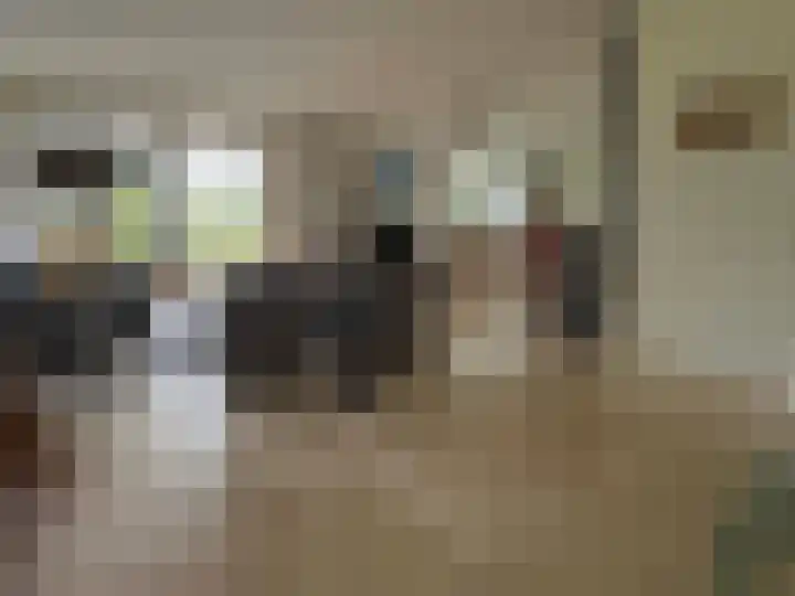 't Haantje 61 't Haantje thumbnail 38