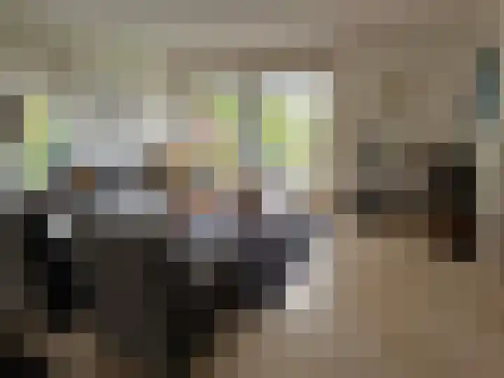 't Haantje 61 't Haantje thumbnail 39