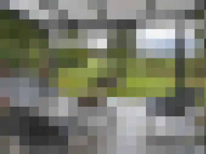 't Haantje 61 't Haantje thumbnail 4