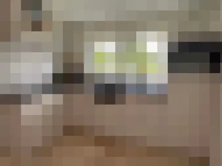 't Haantje 61 't Haantje thumbnail 45