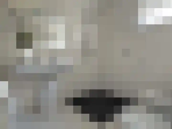 't Haantje 61 't Haantje thumbnail 48