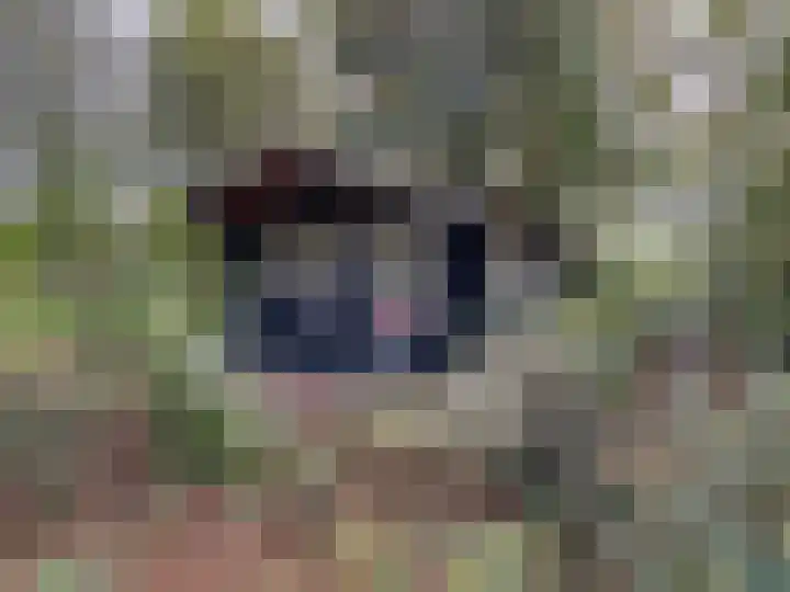 't Haantje 61 't Haantje thumbnail 5