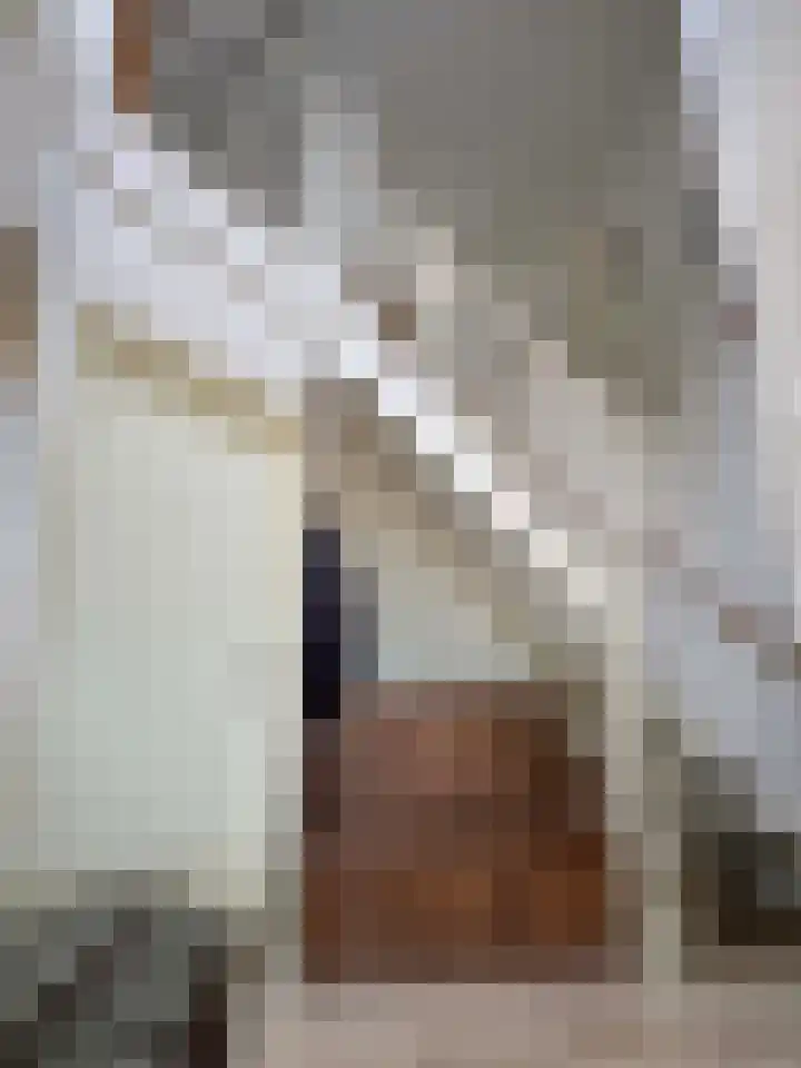 't Haantje 61 't Haantje thumbnail 50