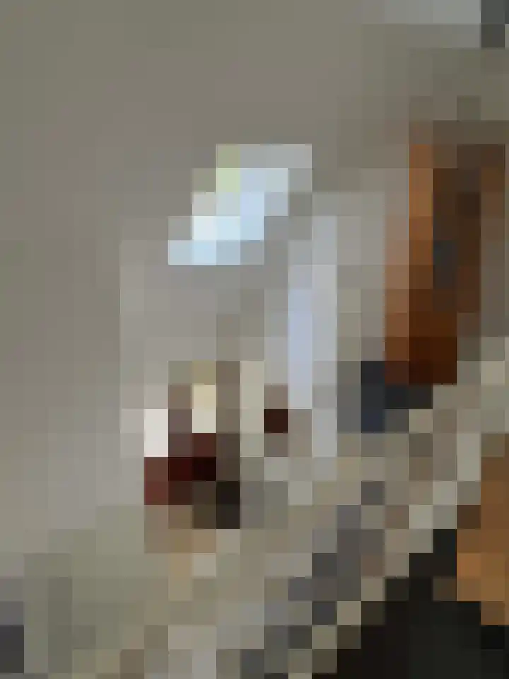 't Haantje 61 't Haantje thumbnail 51