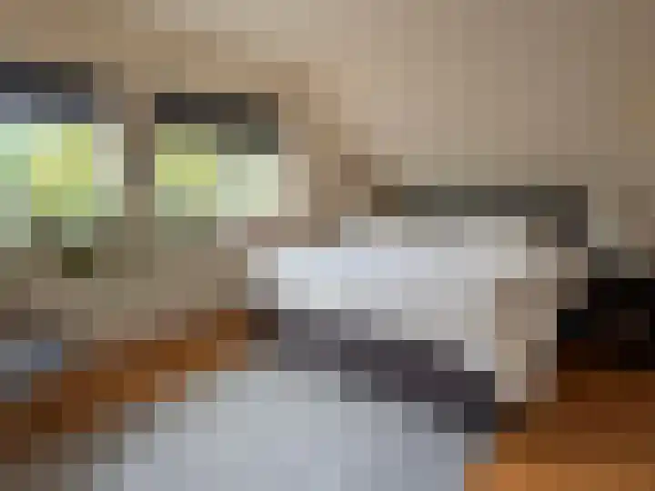 't Haantje 61 't Haantje thumbnail 52