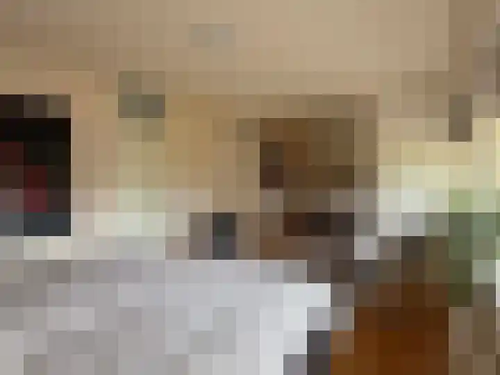 't Haantje 61 't Haantje thumbnail 53