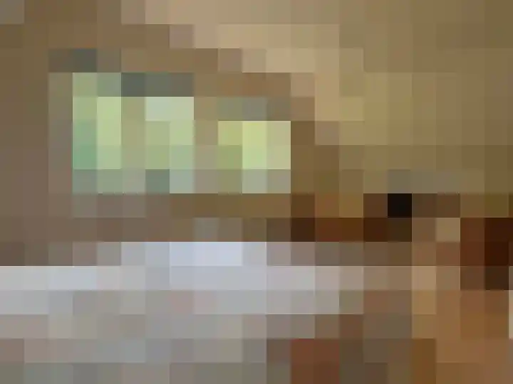 't Haantje 61 't Haantje thumbnail 57