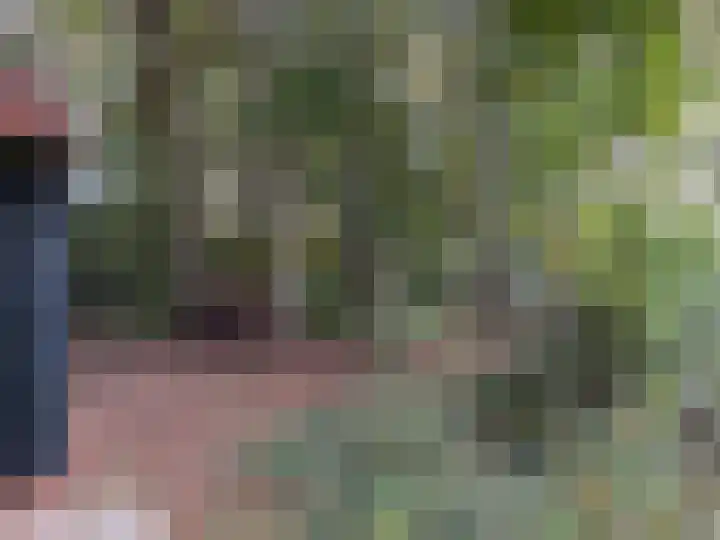 't Haantje 61 't Haantje thumbnail 59