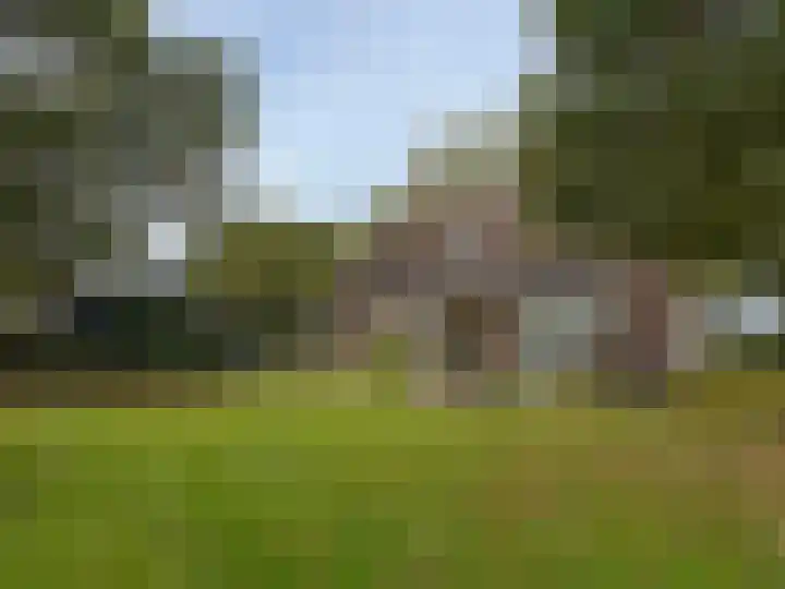 't Haantje 61 't Haantje thumbnail 6