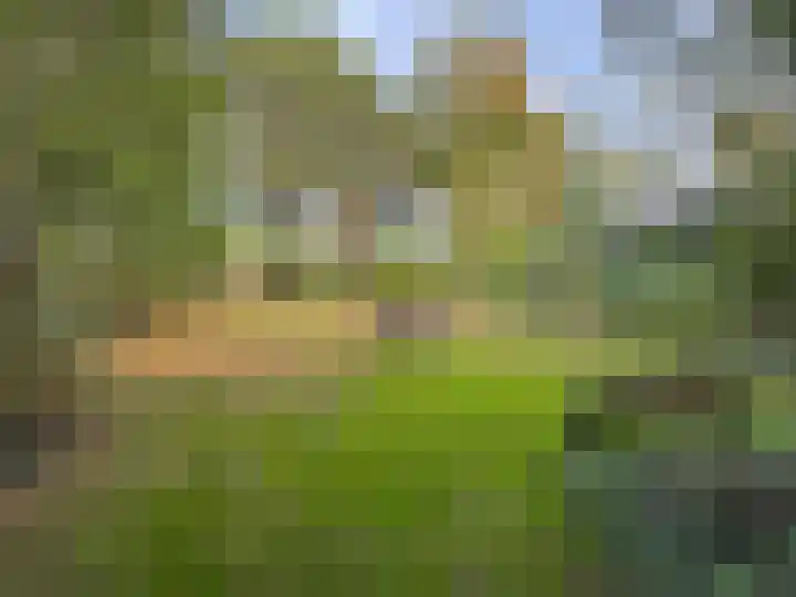 't Haantje 61 't Haantje thumbnail 60