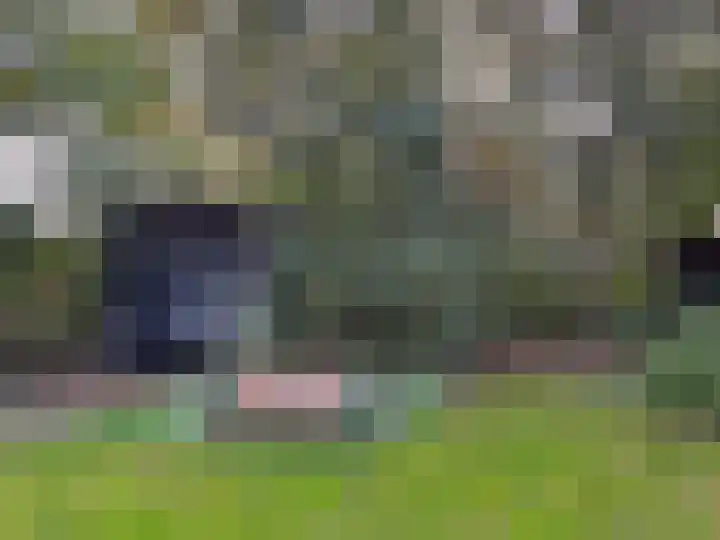 't Haantje 61 't Haantje thumbnail 61