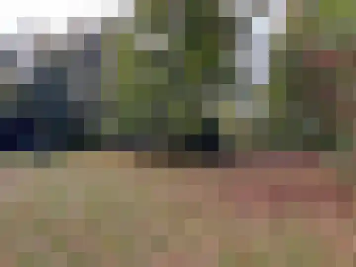 't Haantje 61 't Haantje thumbnail 62