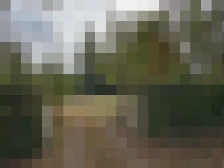 't Haantje 61 't Haantje thumbnail 63