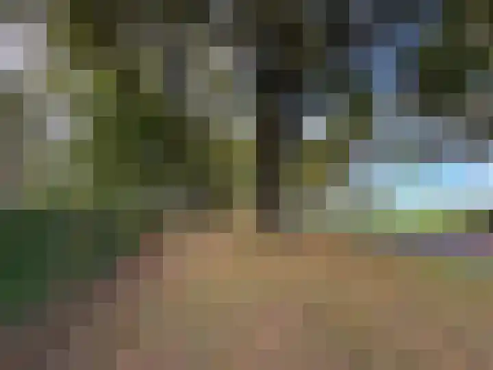 't Haantje 61 't Haantje thumbnail 64