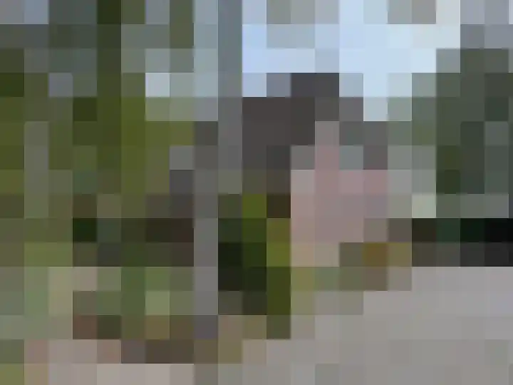 't Haantje 61 't Haantje thumbnail 7