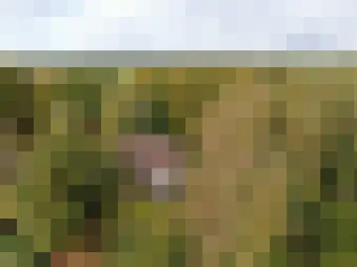 't Haantje 61 't Haantje thumbnail 70