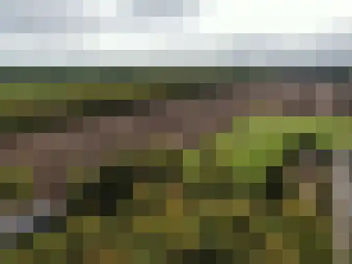 't Haantje 61 't Haantje thumbnail 72