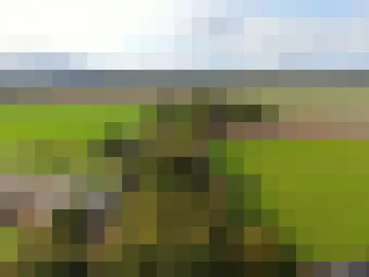 't Haantje 61 't Haantje thumbnail 73