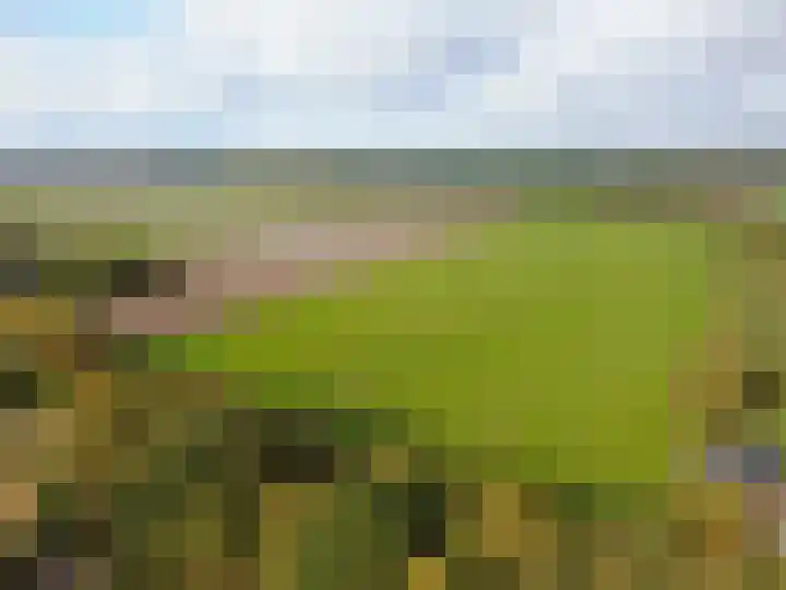 't Haantje 61 't Haantje thumbnail 74
