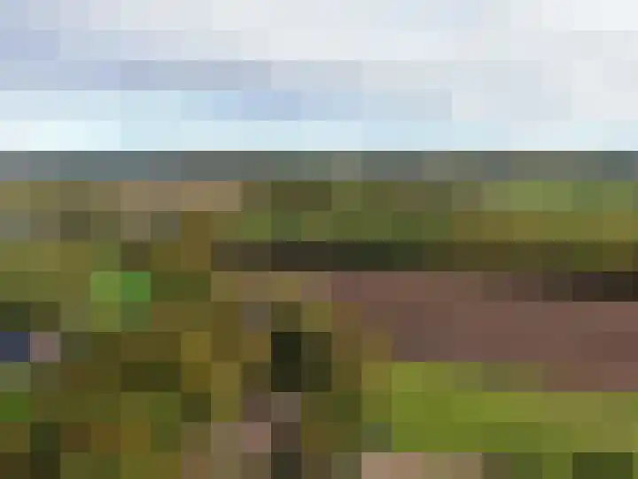 't Haantje 61 't Haantje thumbnail 75