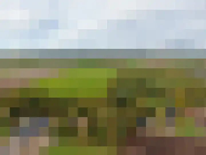 't Haantje 61 't Haantje thumbnail 76