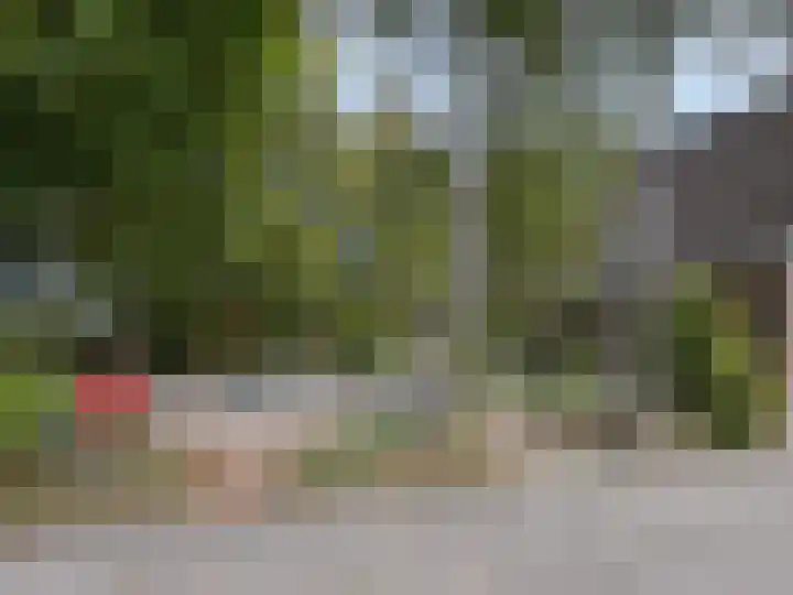 't Haantje 61 't Haantje thumbnail 8