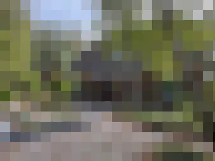 't Haantje 61 't Haantje thumbnail 9