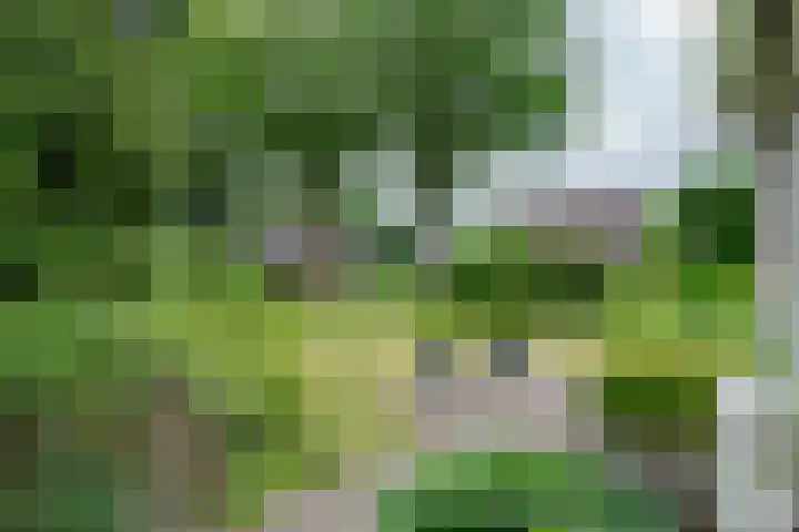 't Haantje 62 b 't Haantje thumbnail 10