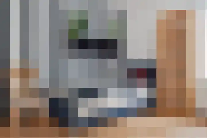 't Haantje 62 b 't Haantje thumbnail 14