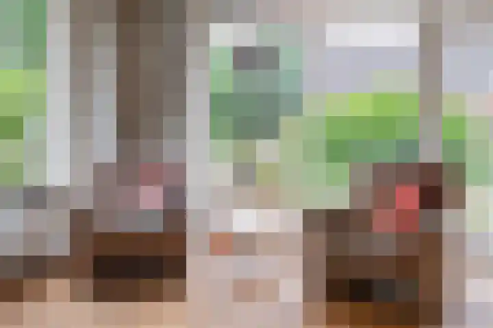 't Haantje 62 b 't Haantje thumbnail 20