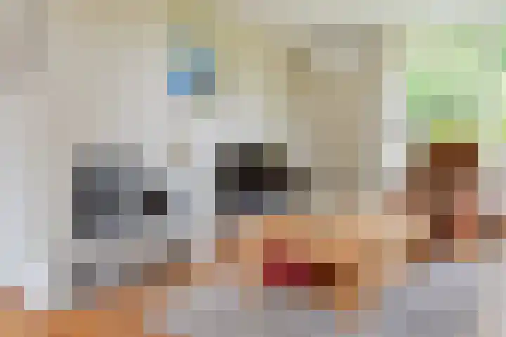 't Haantje 62 b 't Haantje thumbnail 21