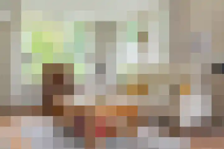 't Haantje 62 b 't Haantje thumbnail 22